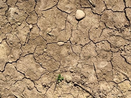 drought conditions.jpg